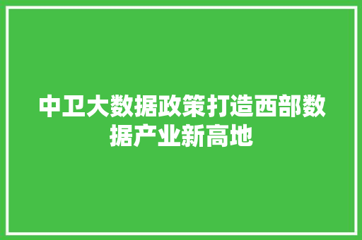 中卫大数据政策打造西部数据产业新高地  第1张