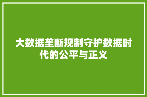 大数据垄断规制守护数据时代的公平与正义