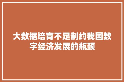 大数据培育不足制约我国数字经济发展的瓶颈