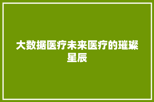 大数据医疗未来医疗的璀璨星辰
