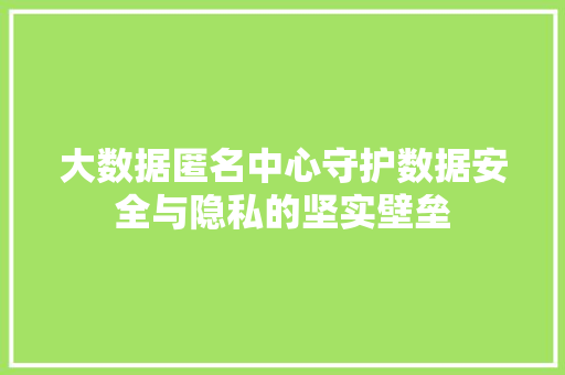 大数据匿名中心守护数据安全与隐私的坚实壁垒