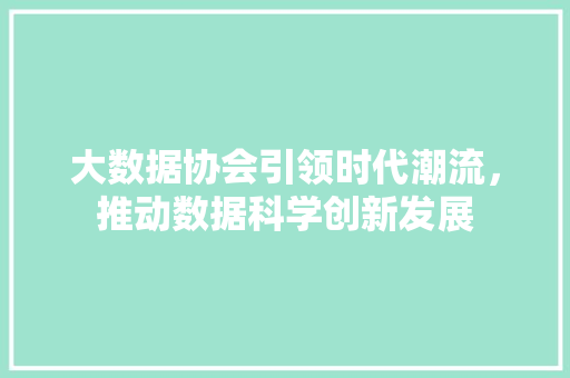 大数据协会引领时代潮流，推动数据科学创新发展