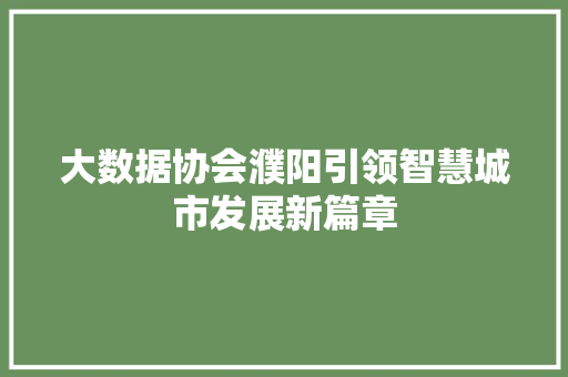大数据协会濮阳引领智慧城市发展新篇章  第1张