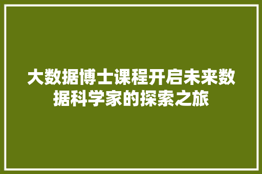大数据博士课程开启未来数据科学家的探索之旅
