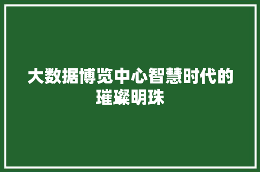 大数据博览中心智慧时代的璀璨明珠