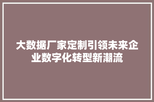 大数据厂家定制引领未来企业数字化转型新潮流