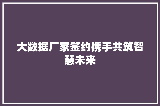 大数据厂家签约携手共筑智慧未来