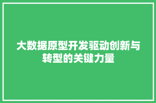 大数据原型开发驱动创新与转型的关键力量  第1张