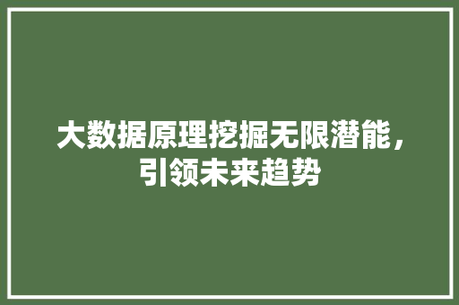 大数据原理挖掘无限潜能，引领未来趋势