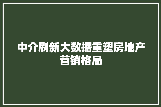 中介刷新大数据重塑房地产营销格局