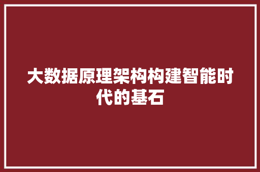 大数据原理架构构建智能时代的基石
