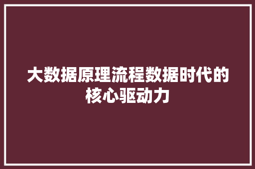 大数据原理流程数据时代的核心驱动力  第1张