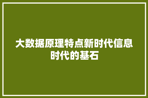 大数据原理特点新时代信息时代的基石  第1张