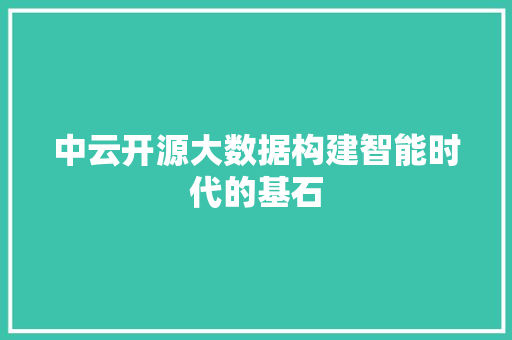 中云开源大数据构建智能时代的基石