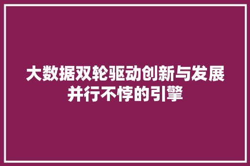 大数据双轮驱动创新与发展并行不悖的引擎