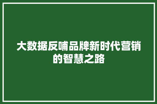 大数据反哺品牌新时代营销的智慧之路