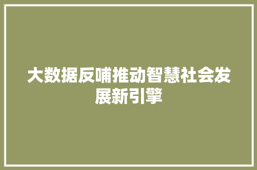 大数据反哺推动智慧社会发展新引擎