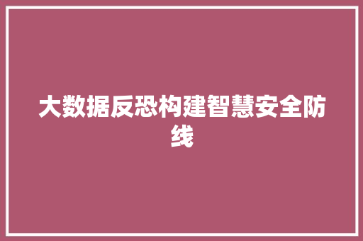 大数据反恐构建智慧安全防线  第1张