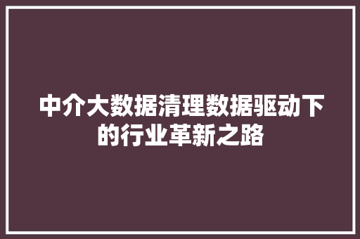 中介大数据清理数据驱动下的行业革新之路
