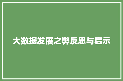 大数据发展之弊反思与启示  第1张