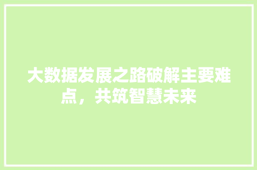 大数据发展之路破解主要难点，共筑智慧未来
