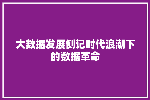 大数据发展侧记时代浪潮下的数据革命
