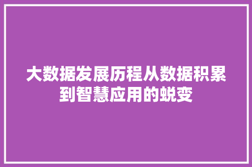 大数据发展历程从数据积累到智慧应用的蜕变  第1张