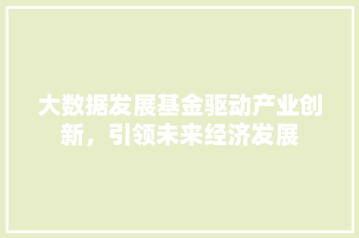 大数据发展基金驱动产业创新，引领未来经济发展