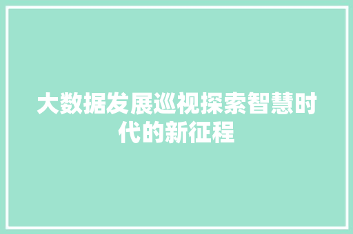 大数据发展巡视探索智慧时代的新征程  第1张