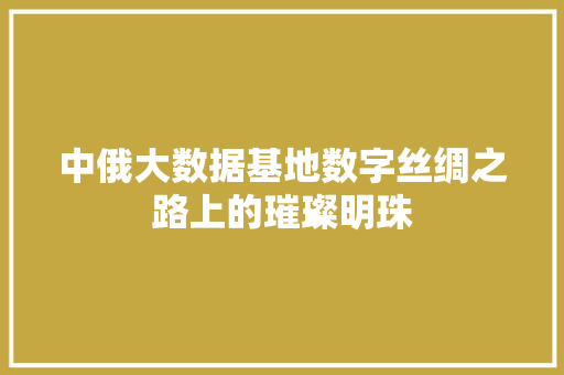 中俄大数据基地数字丝绸之路上的璀璨明珠