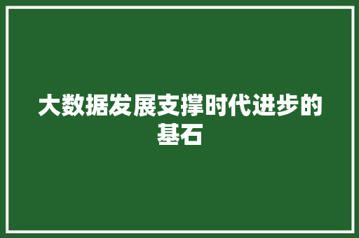 大数据发展支撑时代进步的基石