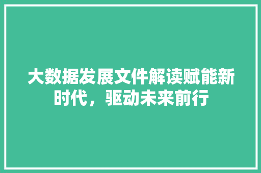 大数据发展文件解读赋能新时代，驱动未来前行