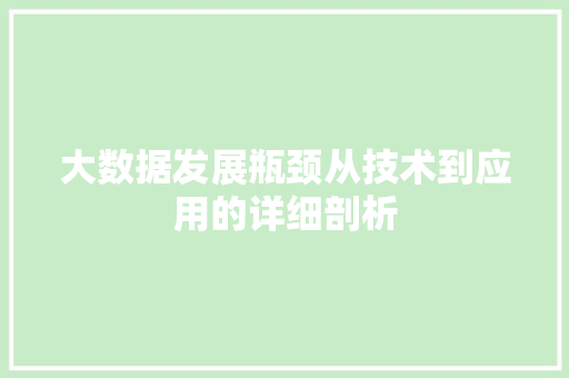 大数据发展瓶颈从技术到应用的详细剖析  第1张