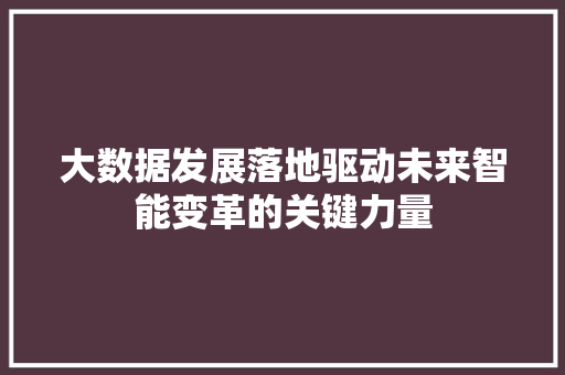 大数据发展落地驱动未来智能变革的关键力量  第1张