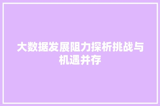 大数据发展阻力探析挑战与机遇并存