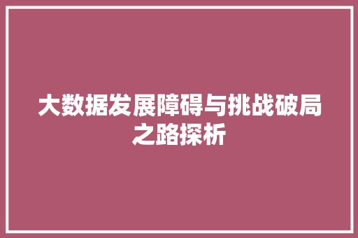 大数据发展障碍与挑战破局之路探析  第1张