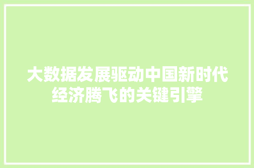 大数据发展驱动中国新时代经济腾飞的关键引擎