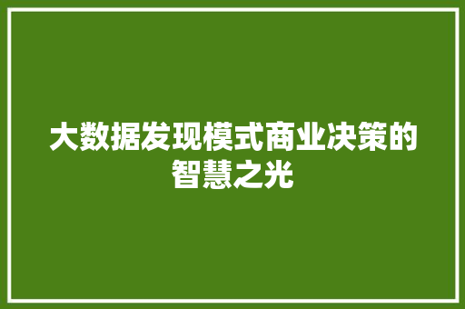 大数据发现模式商业决策的智慧之光  第1张