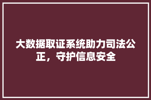 大数据取证系统助力司法公正，守护信息安全