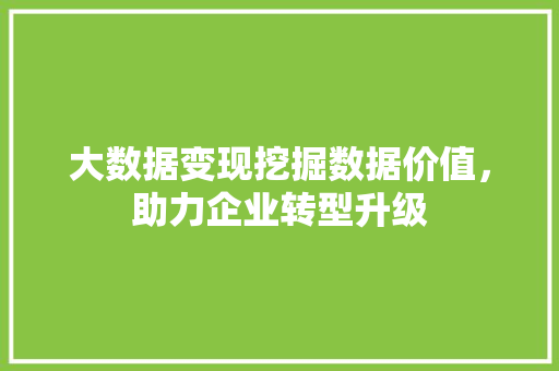 大数据变现挖掘数据价值，助力企业转型升级  第1张