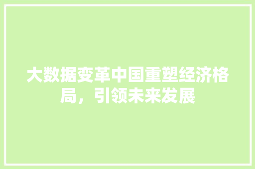 大数据变革中国重塑经济格局，引领未来发展  第1张
