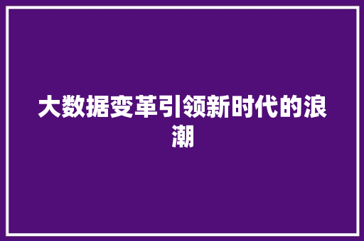大数据变革引领新时代的浪潮  第1张