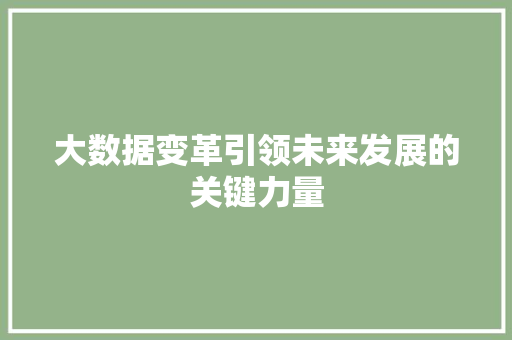 大数据变革引领未来发展的关键力量