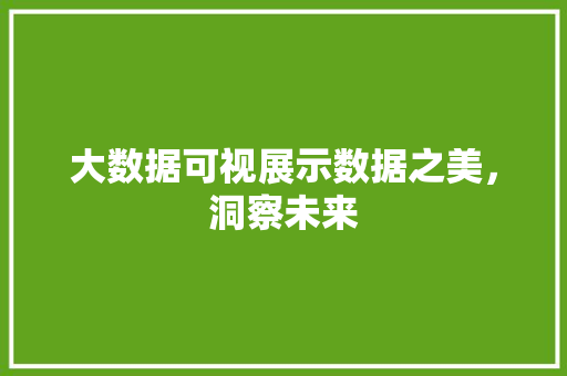 大数据可视展示数据之美，洞察未来