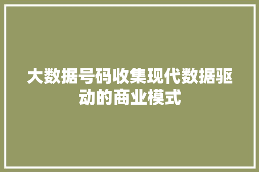 大数据号码收集现代数据驱动的商业模式
