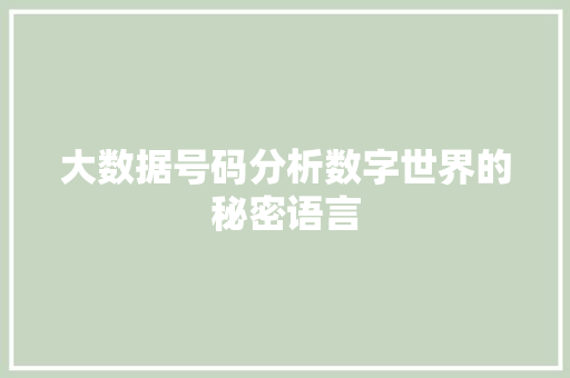 大数据号码分析数字世界的秘密语言