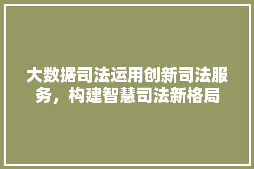 大数据司法运用创新司法服务，构建智慧司法新格局