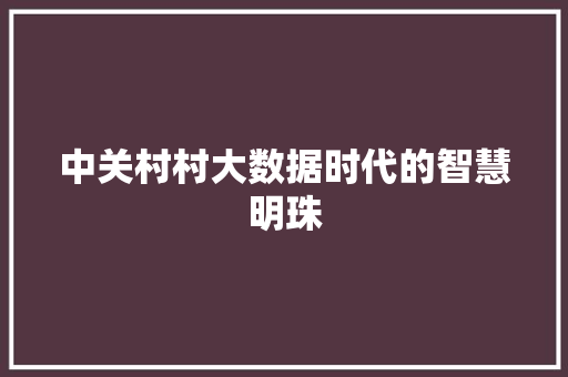 中关村村大数据时代的智慧明珠
