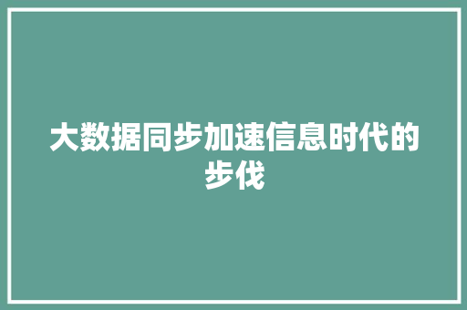 大数据同步加速信息时代的步伐