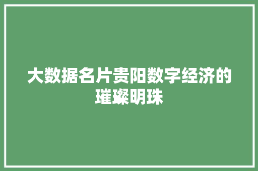 大数据名片贵阳数字经济的璀璨明珠  第1张